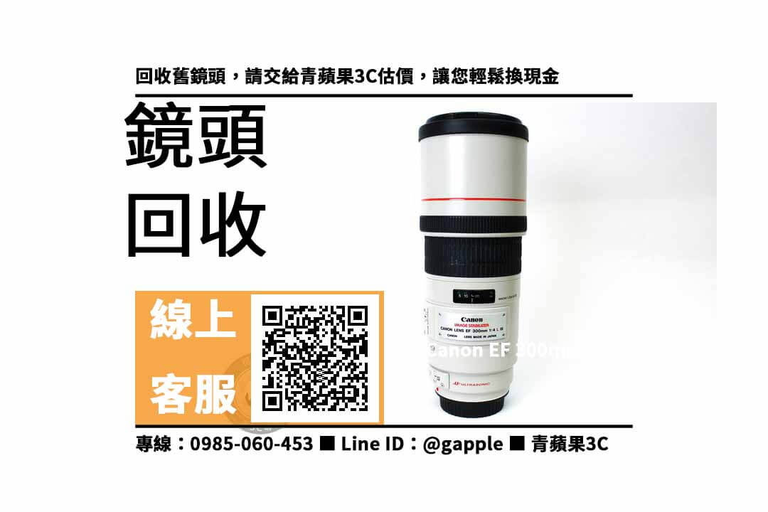 Canon EF 300mm f4 L IS